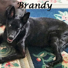 Brandy 2015